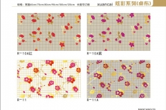 保定炫彩-图册10