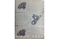 保定YX14-TO38 水果蜜柚
